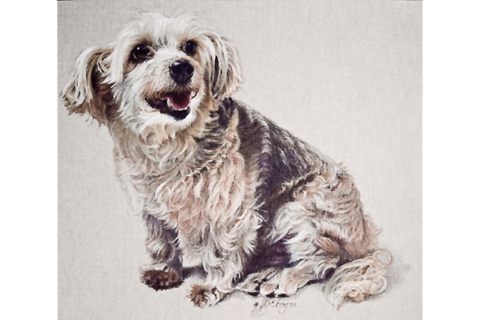 Colored Pencil